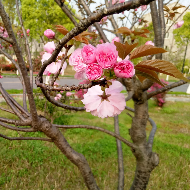 201705091494320399_274585.jpg