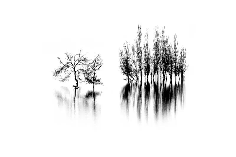 201803291522303569_651199.jpg 